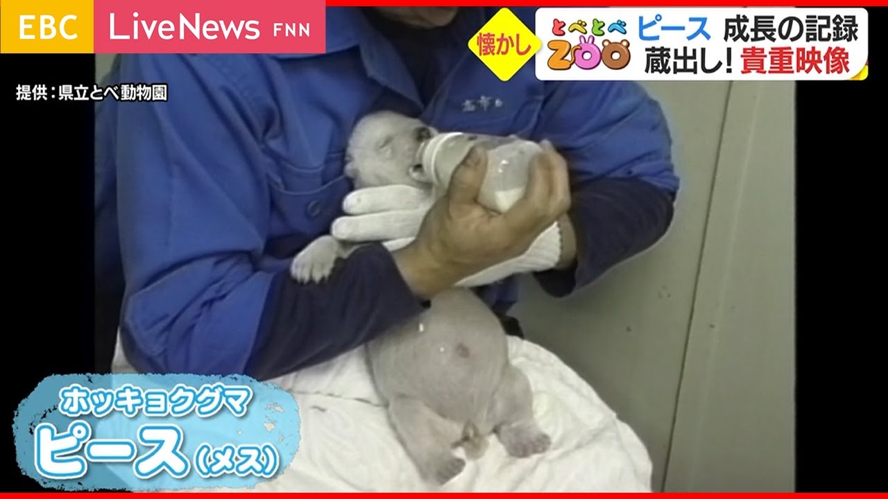 【蔵出し】ピース＆あの動物たちをもう一度＜祝コーナー25周年！＞