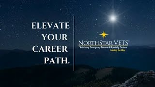 Join the NorthStar VETS team! by NorthStar VETS 61 views 2 months ago 2 minutes, 21 seconds