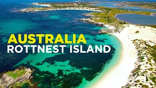 ROTTNEST ISLAND: is the QUOKKA world's CUTEST animal!? Day trip from Perth