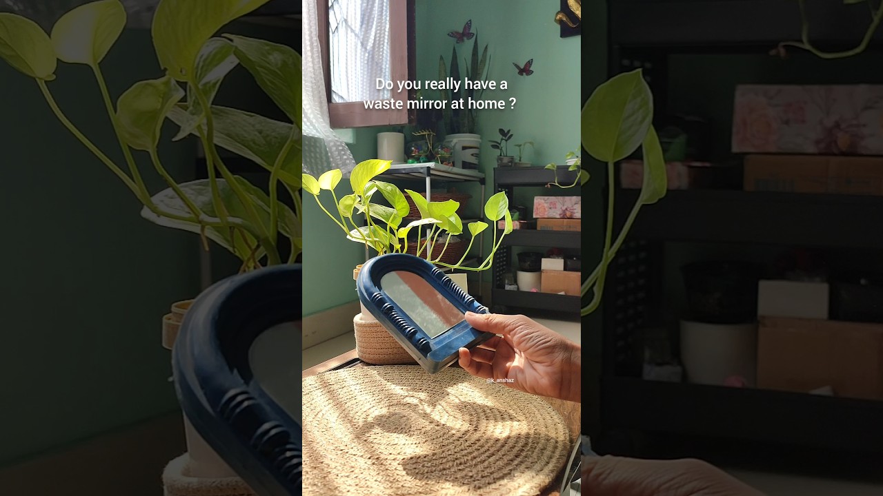 Shell 🐚 Mirror DIY | Easy Craft Ideas| Waste mirror art 🎨 