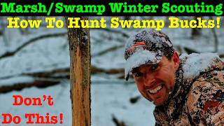 Scouting Buck Sign In Marsh/Swamp! Hunt Them Right!