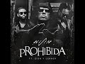 Wisin Zion Y Lennox Prohibida Official Audio mp3