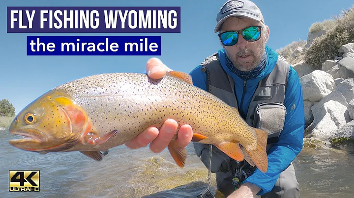 FLY FISHING WYOMING: Wade fishing the Miracle Mile...