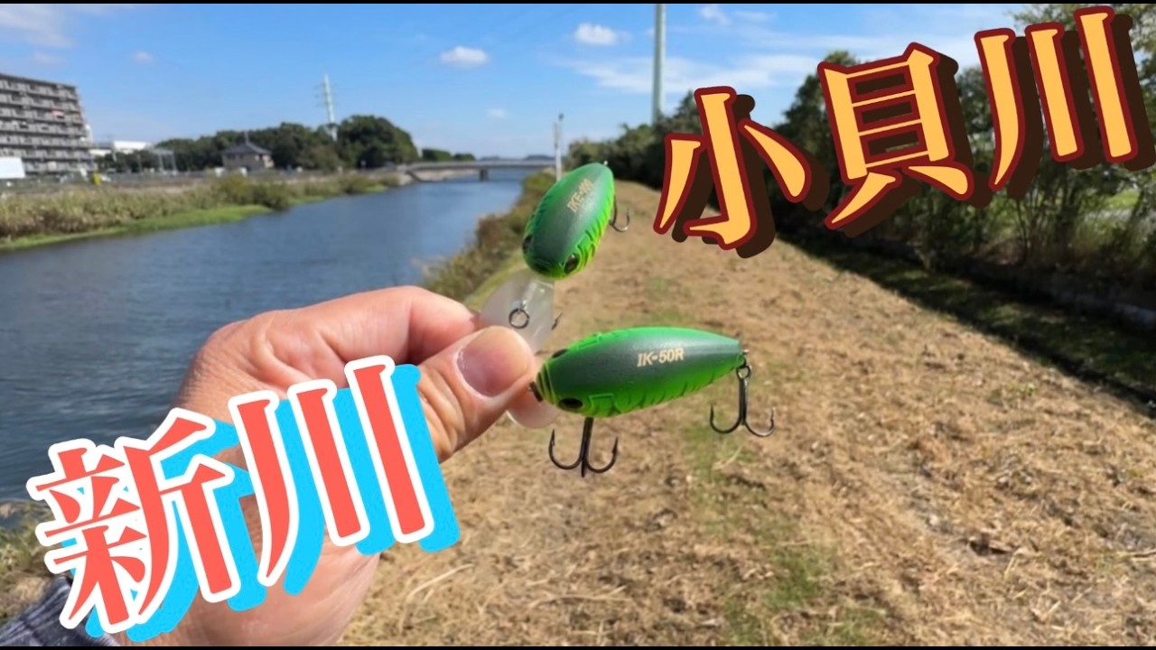 バス釣りとは。勝ち続ける事の出来ないゲーム