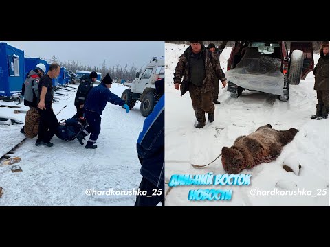 Медведь порвал двух рабочих на Чаяндинском месторождении в Якутии (10.11.2023)