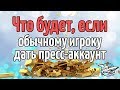 Что будет если обычному игроку дать пресс-аккаунт?