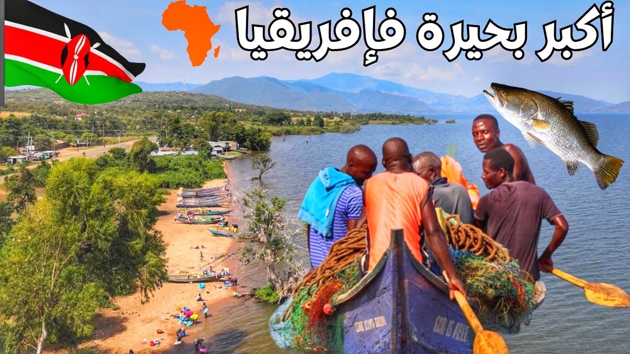 #78 كلينا الحوت ديال أكبر بحيرة فإفريقيا 