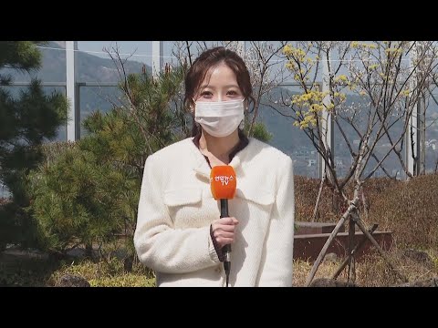 [날씨] 휴일 완연한 봄 날씨…저녁 쌀쌀, 큰 일교차 주의 / 연합뉴스TV (YonhapnewsTV)
