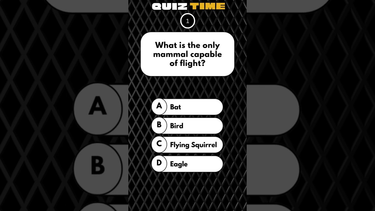 Quiz Questions Part 13 quiz quiztime quizgames quizquestions Quiz Questions Part 13 quiz quiztime quizgames quizquestions