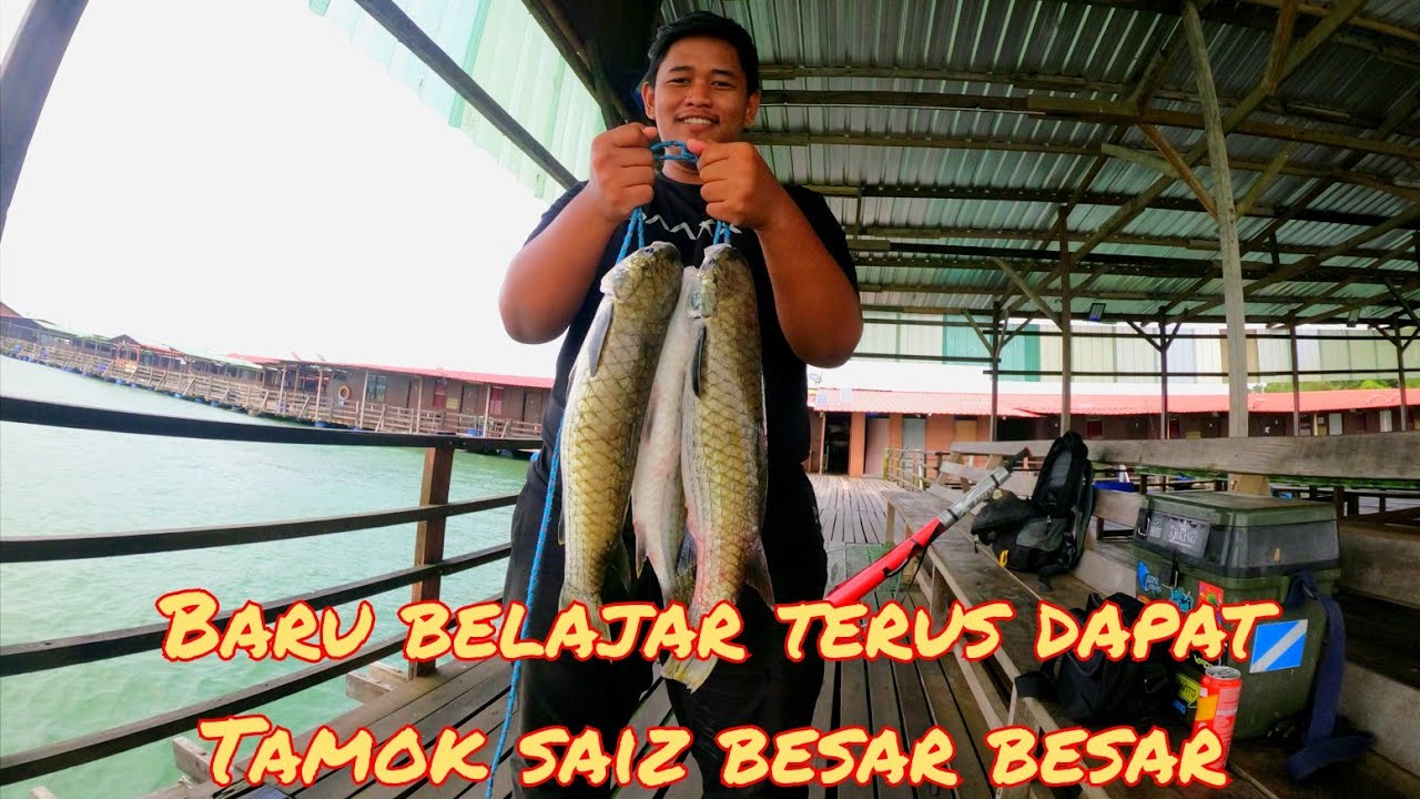 MANCING RAKIT YOYO A|BELAJAR MANCING TAMOK LOBAN RAKIT KELONG YOYO A