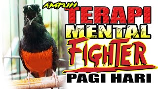 MURAI BATU BERMENTAL BAJA DENGARKAN TERAPI AMPUH PAGI HARI Shama bird fighter