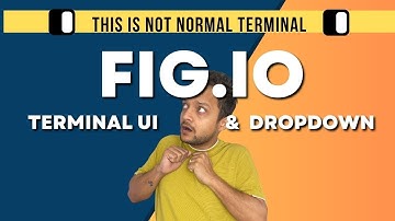 This is not normal Terminal - fig.io