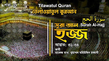 মন ছুঁয়ে যাওয়া তেলাওয়াত | Surah Al-Hajj | سورة الحج | আল-হজ্জ আয়াত (৩১-৩৪)|  ATR QURAN TILAWAT