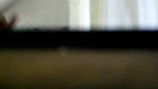 DSCI0151.AVI