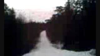 Crazy sledge stunts