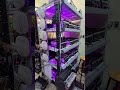 Phone Farm 2025: Best Setup for Multi-Account Farming #shorts #phonefarm #smartphone