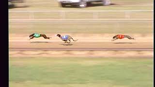 Final11 GREYHOUND CHANNEL STAKE JAN ONE FLITE I