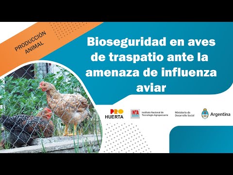 Bioseguridad en aves de traspatio ante la amenaza de influenza aviar