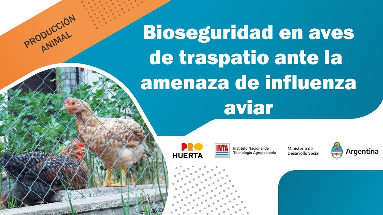Bioseguridad en aves de traspatio ante la amenaza de influenza aviar