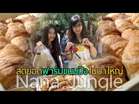 สาวดอยกินแอ่ว@นานาจังเกิล สุดยอดฟาร์มขนมปังในป่าใหญ่ Nana Jungle Chiang Mai