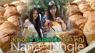 สาวดอยกินแอ่ว@นานาจังเกิล สุดยอดฟาร์มขนมปังในป่าใหญ่ Nana Jungle Chiang Mai