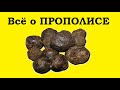 Прополис против герпеса и от ожогов - сильное лекарство из улья