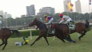 Mumbai Horse Full Race 2019 at Mahalaxmi Race Course | #HorseDerby in India | Mahalaxmi #Racecourse