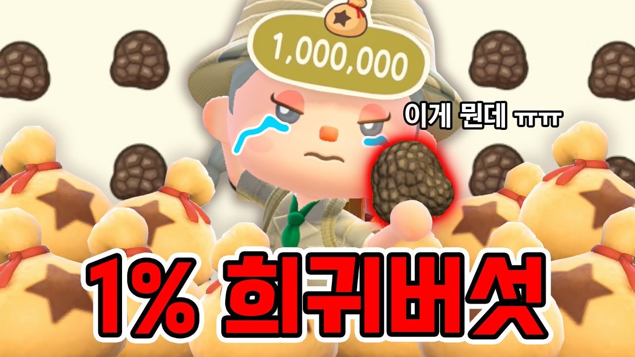 드디어 성공했습니다ㅠㅠ 1% 희귀버섯으로만 100만벨 벌기