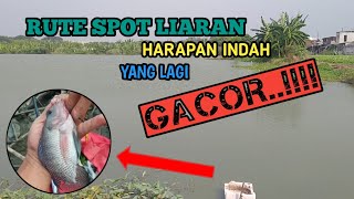 RUTE LIARAN HARAPAN INDAH YANG LAGI GACOR!!!!