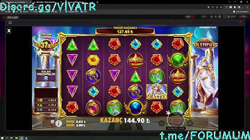 Bedava Paralı Sorgu Paneli Kurulum Analatım (ADA PARSEL, TAPU, BAHİS SCRİPTİ, PLAKA, APİ SERVİCE )