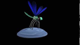 Dragonfly Test 1