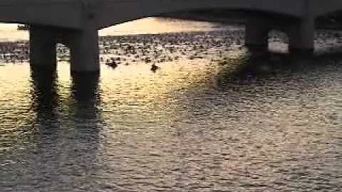 Arizona Ironman start 2009.mov