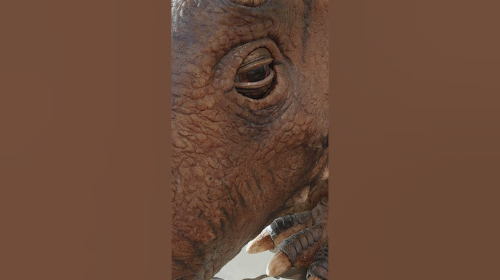 Het is bijna zover!🦕🦖