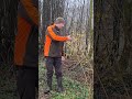Wann muss ich im Frühling Tannen düngen?  When do I need to fertilize fir trees in spring?