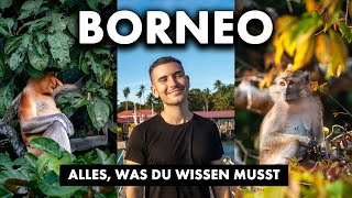 Borneo REISEGUIDE 2023 – Ultimativer ABENTEUERURLAUB (Sabah)