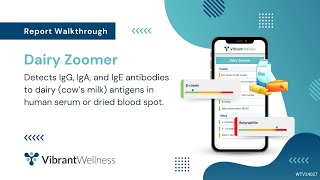 Vibrant's Dairy Zoomer - Report Walkthrough