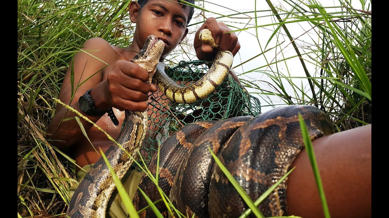 Primitive Technology: Simple DIY Python Snake Trap Using Real hand That ...