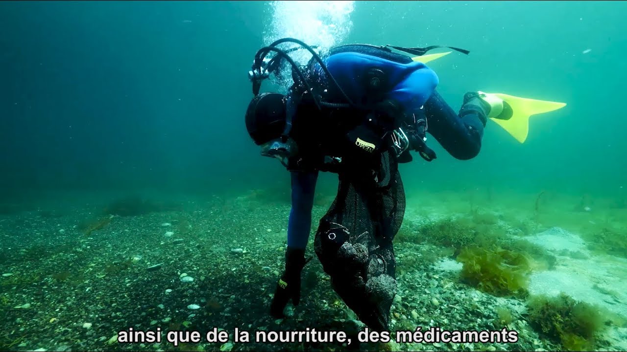 La mer du Nord et l’humain