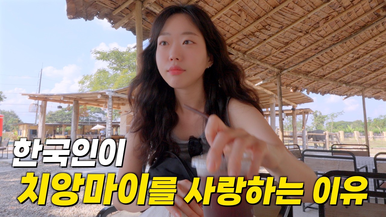 할거 없는 치앙마이? 꽉 채운 1day 완벽코스! 무료요가·코끼리 카페·맛집·야시장까지