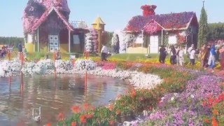 Documentary miracle garden, 2016