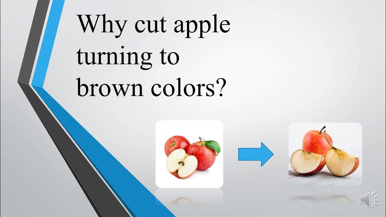 Why do apple turn brown ? YouTube