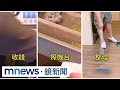獨家／工作5小時「月領5萬」？　網徵「洗衣店巡檢員」遭疑詐騙｜#鏡新聞