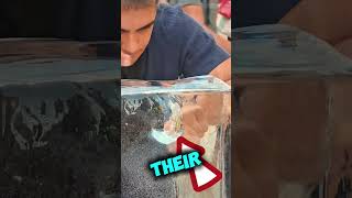 They thought they could remove the paint easily 😱❤️#shortsvideo