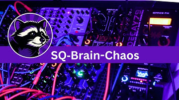 Korg SQ-1 triggering Behringer Brains into chaos