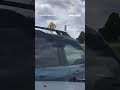 Homicide suspect SHOOTS at troopers in high speed chase #foxnews #news #us #fox
