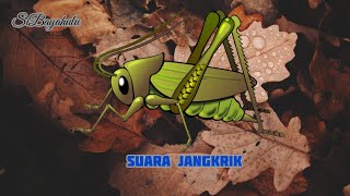 SUARA JANGKRIK