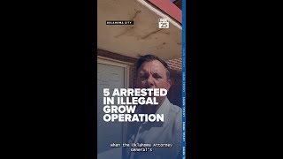 AG: 3,200 marijuana plants seized, 5 arrested in illegal grow operation in Oklahoma City