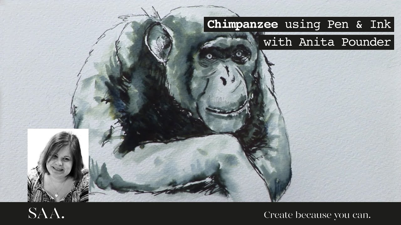 Inktober 2022 - Chimpanzee using Pen and Ink with Anita Pounder - YouTube