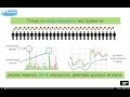 Почему Индикаторы И Осцилляторы Не Работают?