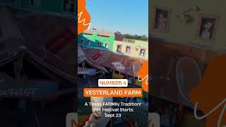 5 Pumpkin Patches to Visit in Dallas - Fort Worth in September #pumpkin #visitdallas #fall #pumpkins